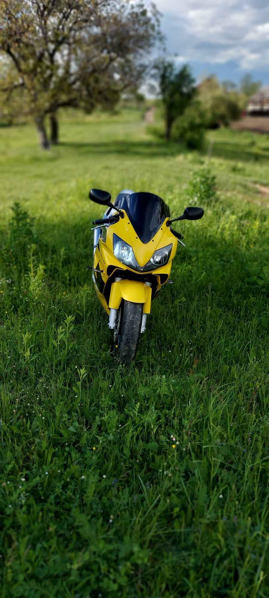 Honda cbr 600 f4i