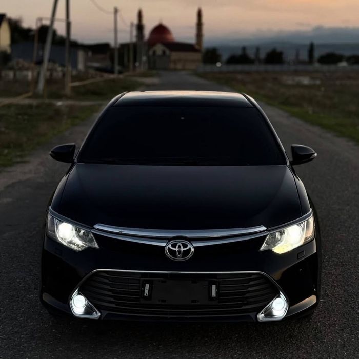 Трезвый Водитель