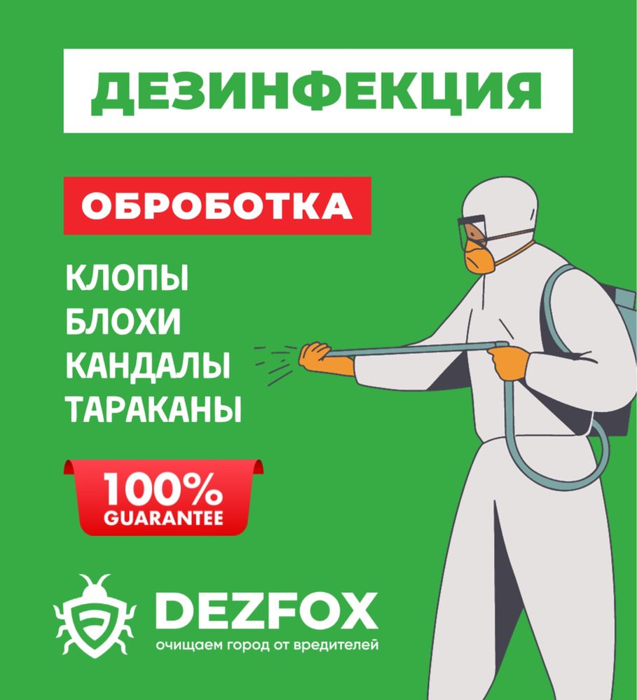Дезинфекция От Клопов Тараканов Мышей Санобработка В Кафе Склад Дом