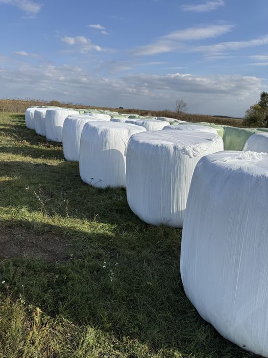 Baloti infoliati  lucerna 700-800kg