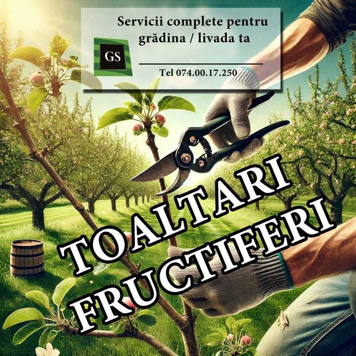 Toaletare pomi fructiferi în Arad/ Tăiere pomi, îngrijire livadă