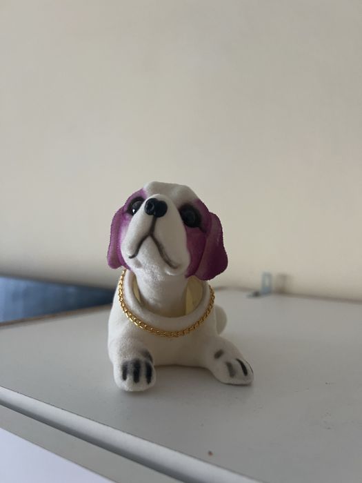 Catel de plus cu lant