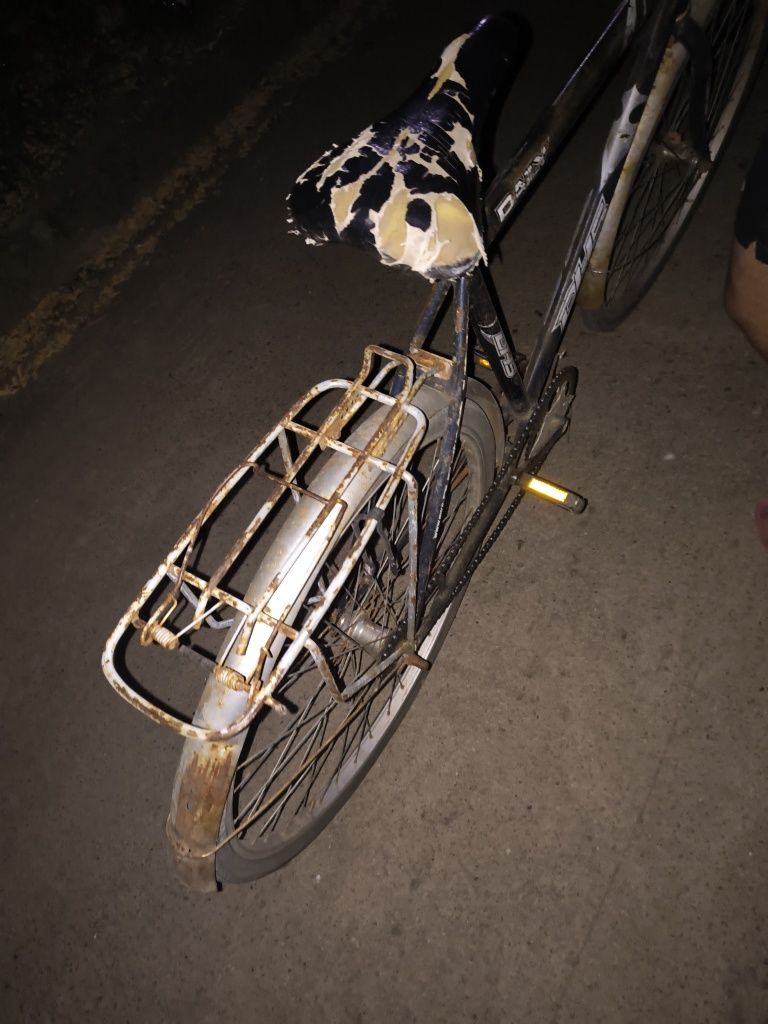 Bicicleta Romaneasca
