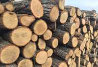 Vând lemne de foc esență tare fag și stejar