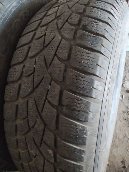 Шины зимние Dunlop
