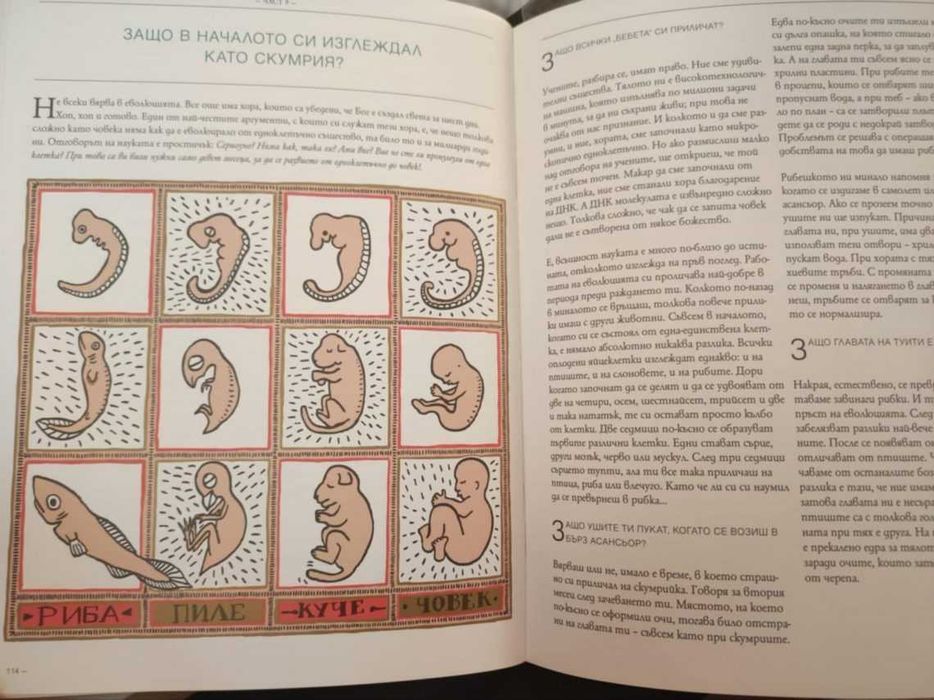 Чисто нови книги