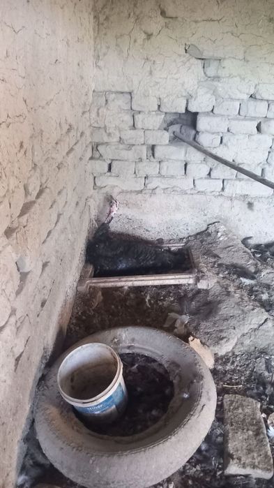 Kurk kurka sotiladi