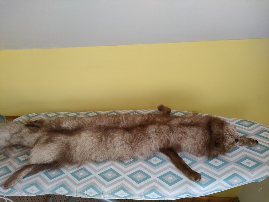 2 buc Guler din blană de vulpe
