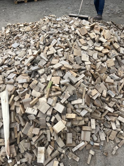 Береза, хвойные бесплатно