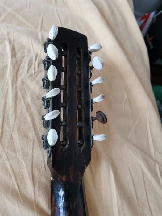 Cumbus Turcesc. Vintage