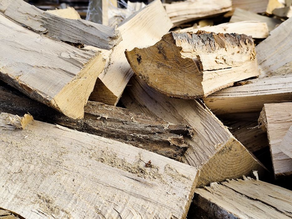 Lemne foc USCATE fag carpen frasin