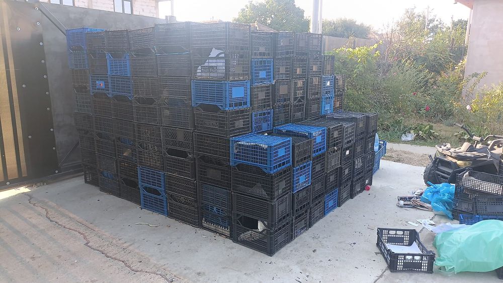 Lădițe de plastic  1,5lei