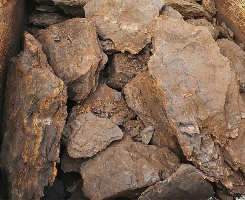 Cărbune lignit pentru centale termice