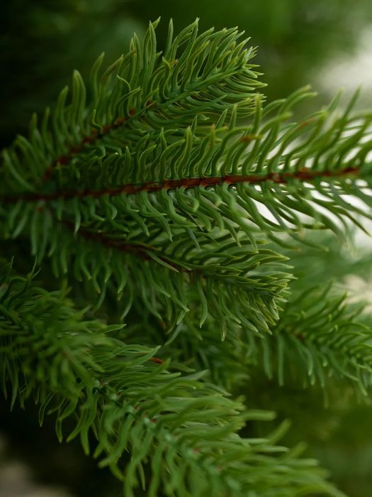 Yangi yil archasi Искусственная елка 100% литая, премиум