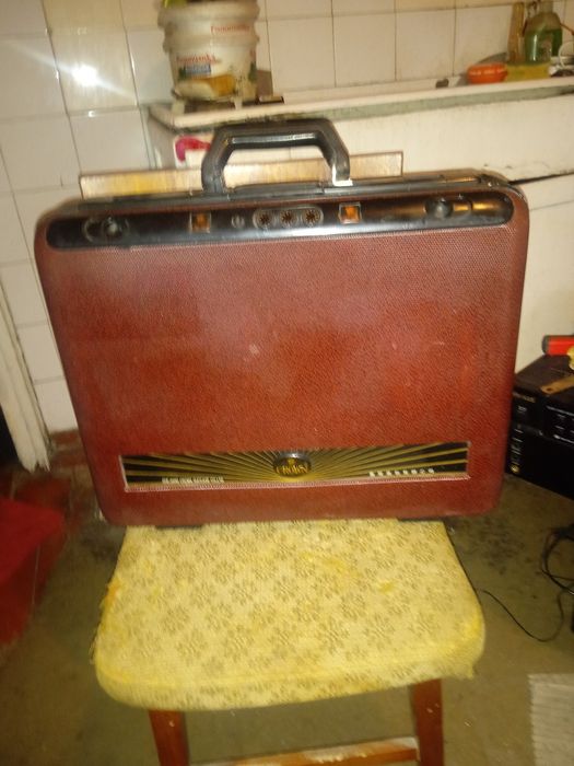 Японско куфарче,
