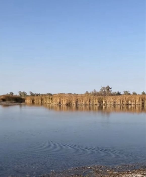 Продам земельный участок