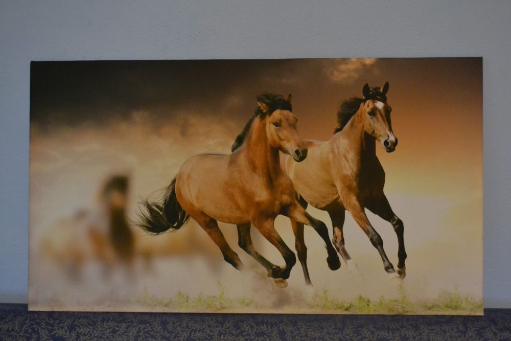 Tablouri canvas personalizate