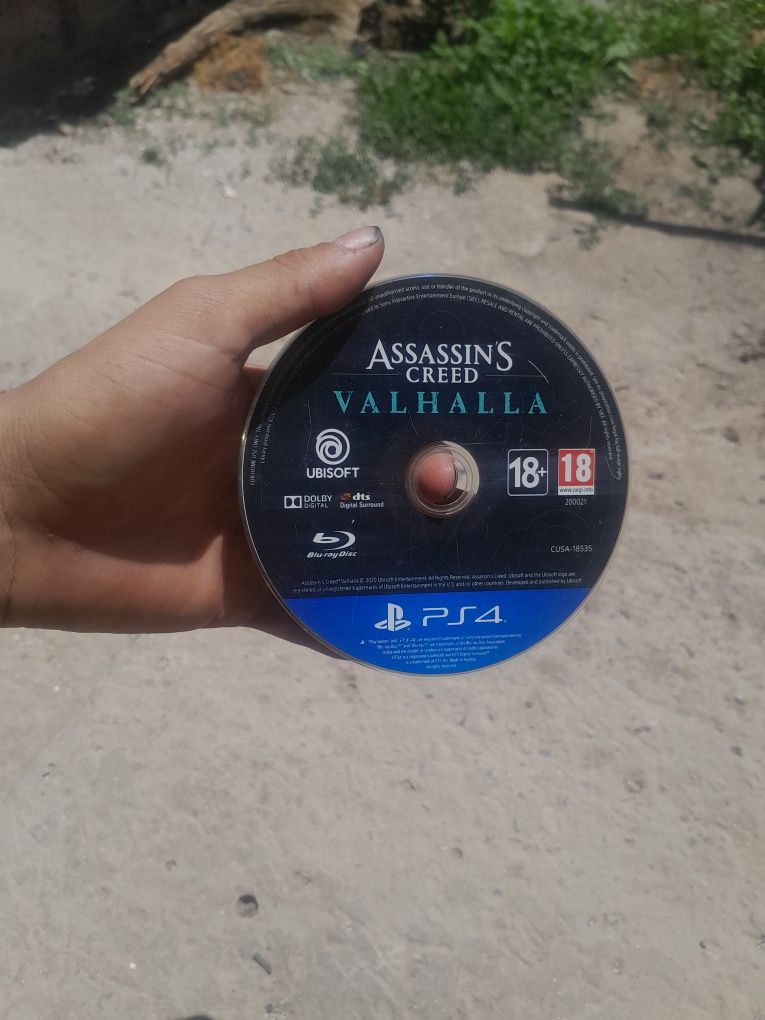 Assassin creed Valhalla