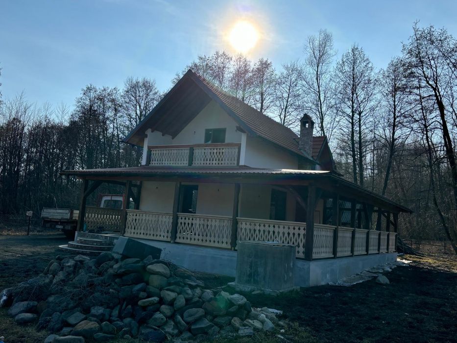 Stalpi sculptati si altele