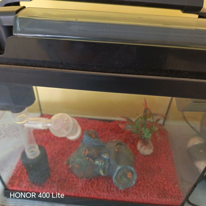 Vând acvariu   prețul este negociabil