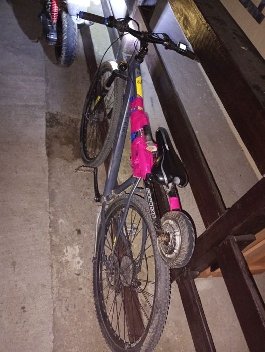 Bicicleta electrică