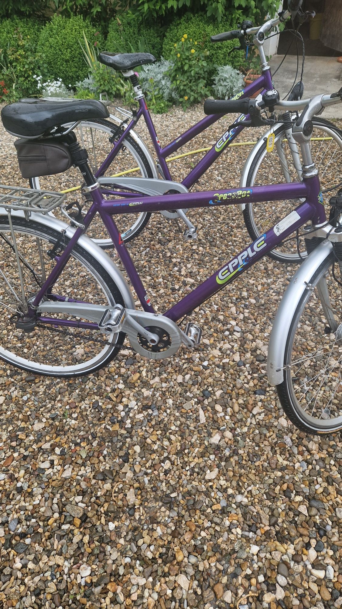 Biciclete dama si barbat