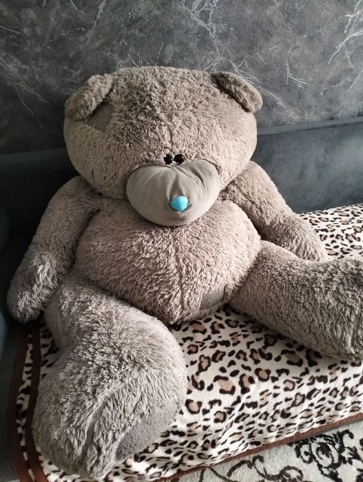 Отдам даром медведя