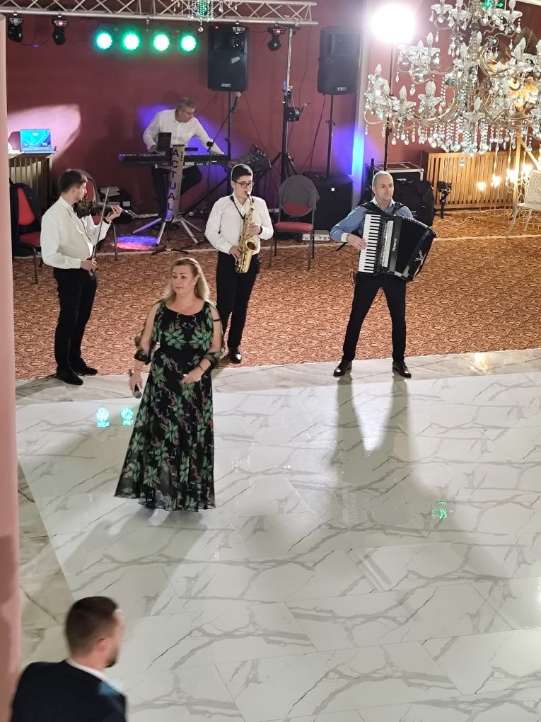 Formații nunta Pitesti