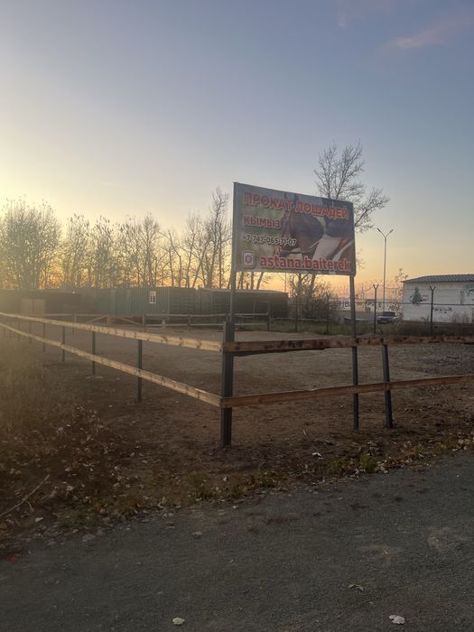 Продам действующий бизнес,конный клуб,конюшню