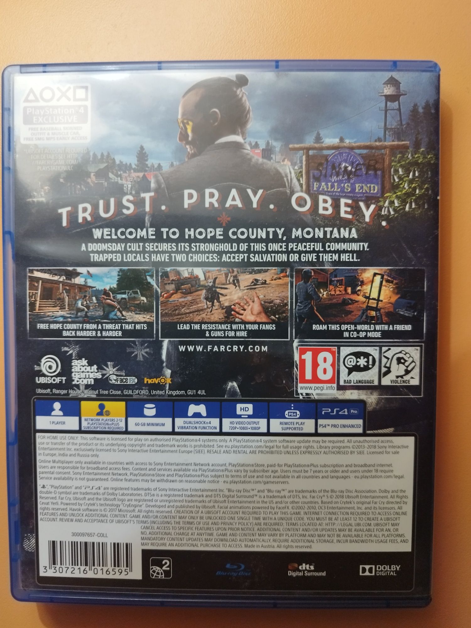 Far Cry 5 PS4 / Playstation 4