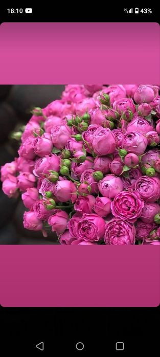 Дехкончилик гарантия качества