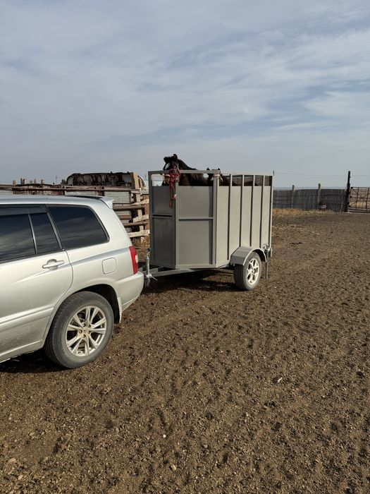 Продаетсяя прицеп 2025 года