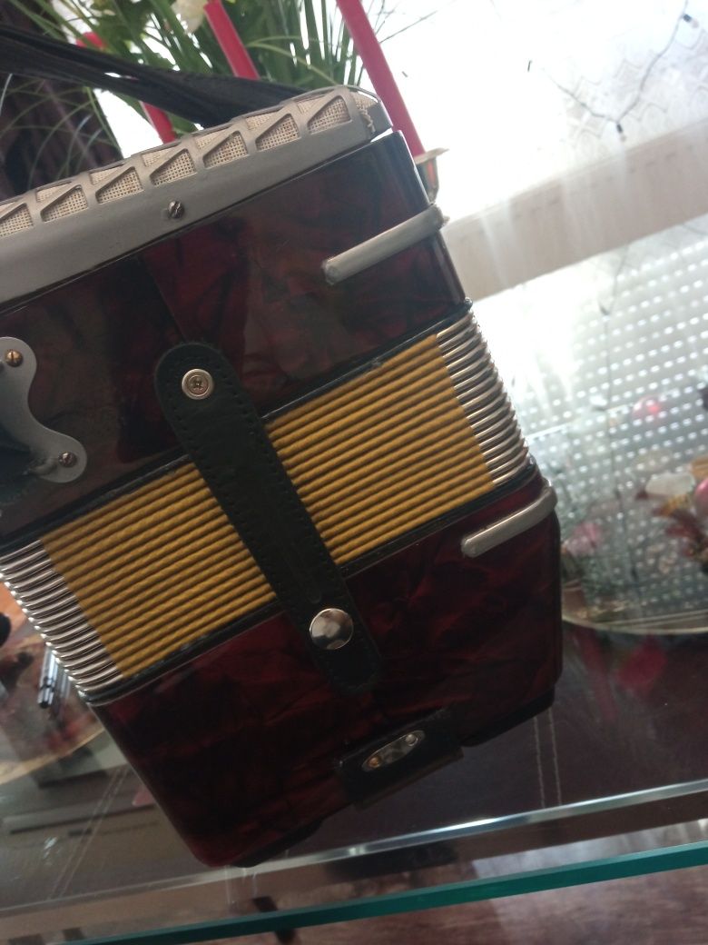 Acordeon 60 de basi