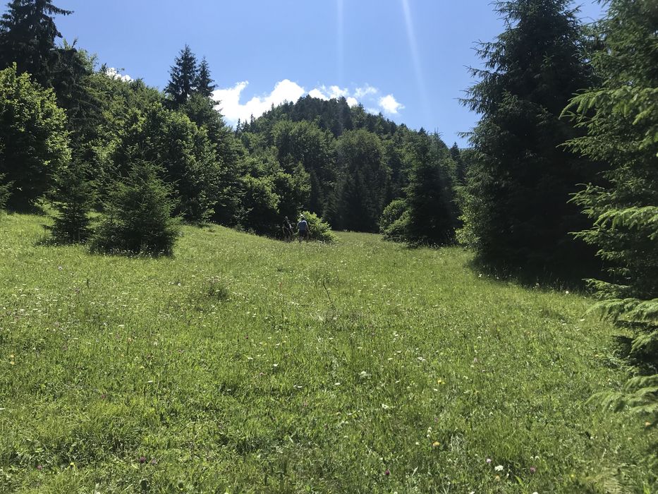 Teren Rucar Bran Valea Cheii