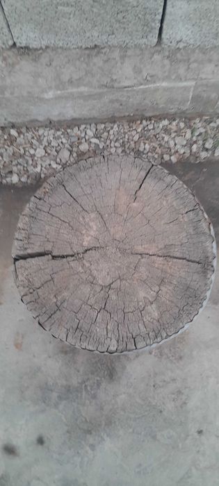 Кассоблар учун кунда гуш майдалаш учун кунда буйи 42 см эни 33 см