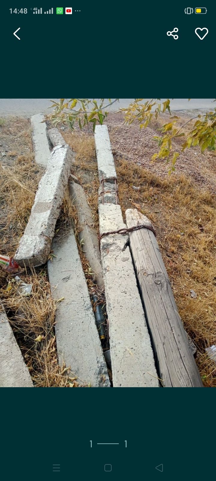 Пасынки , столбы