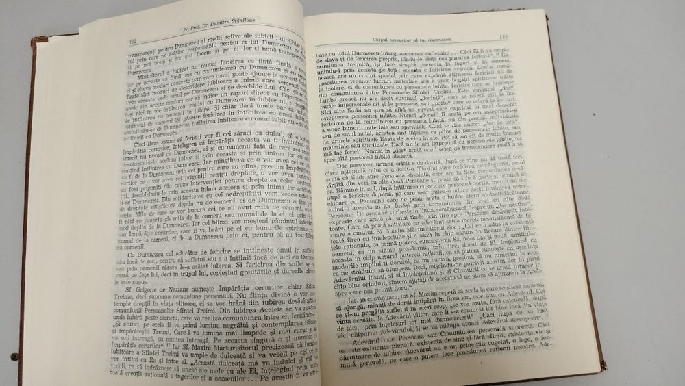 Chipul nemuritor al lui Dumnezeu, Dumitru Stăniloae