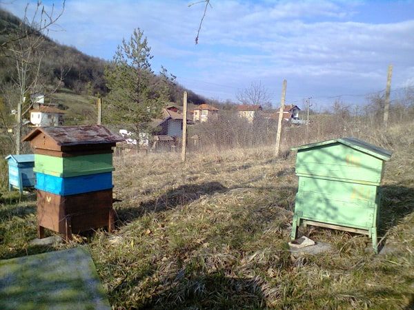 Парцел близо до Гложенски манастир в с. Малък извор общ.Ябланица обл.