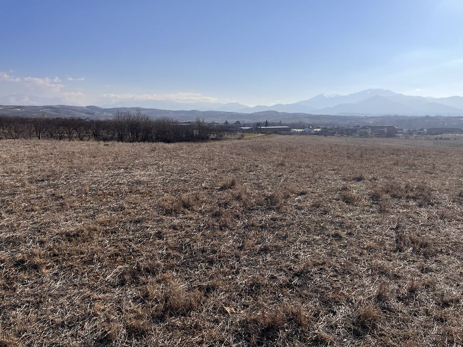 Продава се Земеделски имот в София, Свобода -  кв.м за 2034 €/дка - Снимка #2