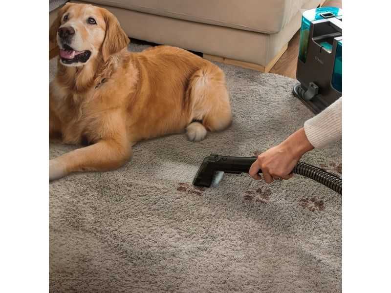 Перяща Прахосмукачка Cecotec Conga Popstar 3000, 400W