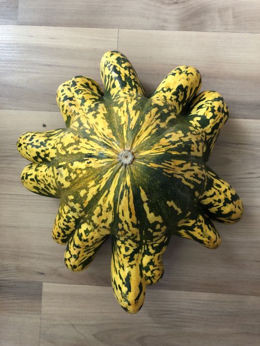 Кратуни и декоративни тиквички