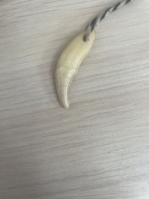 Қасқырдың тісі емдік қасиеті бар ваза кожаный юбка