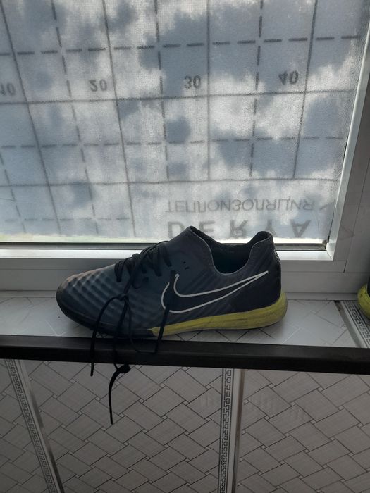 Magista sarakanojka sotiladii