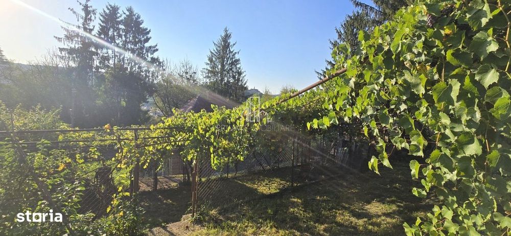Casa de vanzare, zona centrala, Sighisoara, Mures