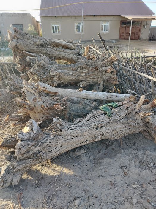 Ири отын сатылады