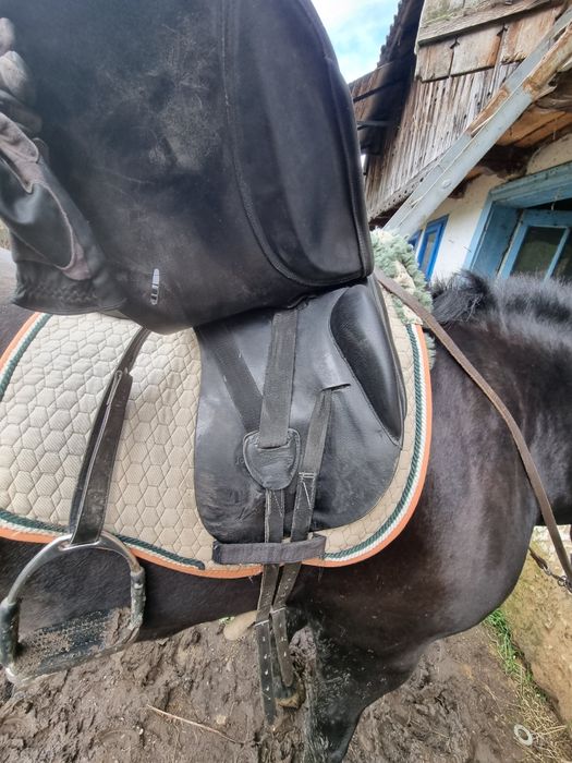 Șa pentru echitatie (dresaj )