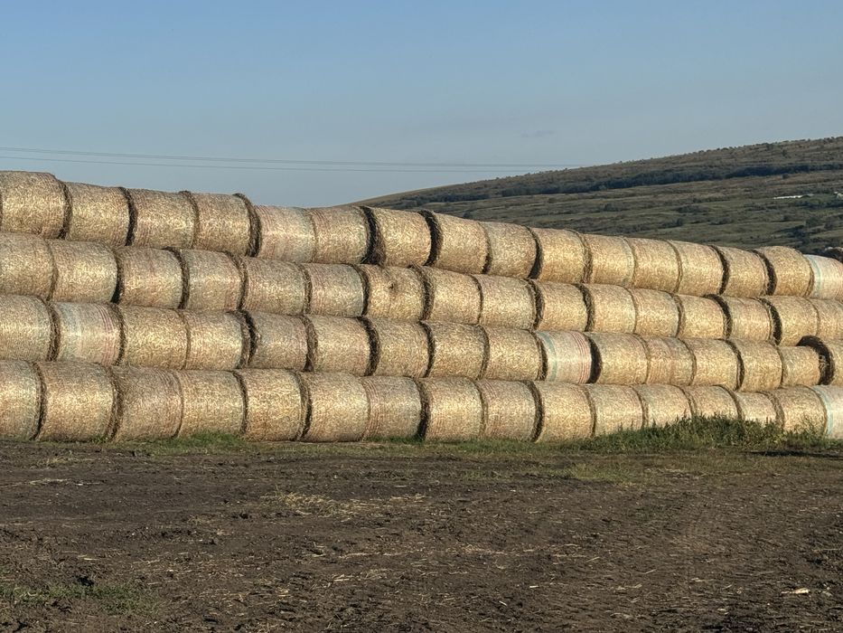 Baloti de paie 135/120 de vanzare !!!