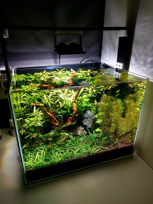 Клуб аквариумистов ВКО