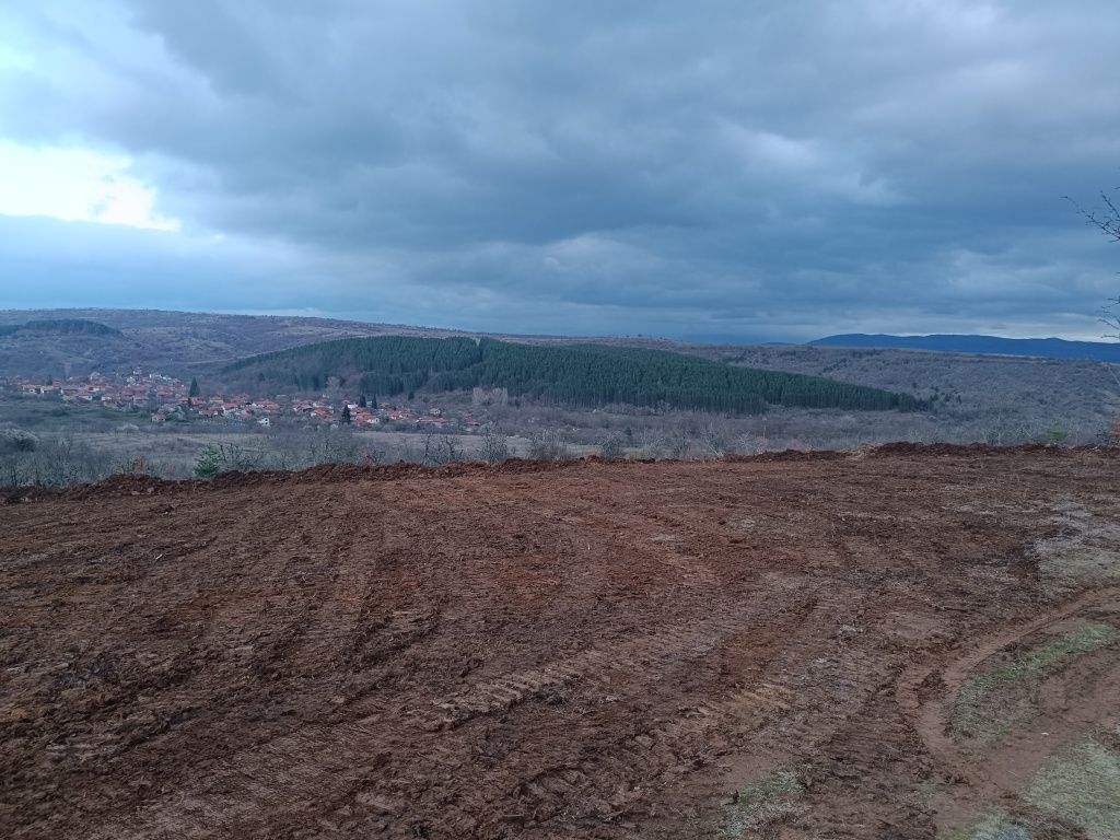 Услуги с Булдозер, изкопни дейности и транспортни услуги.