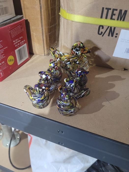 Familie rățuște,pestrițe,ansamblu complet